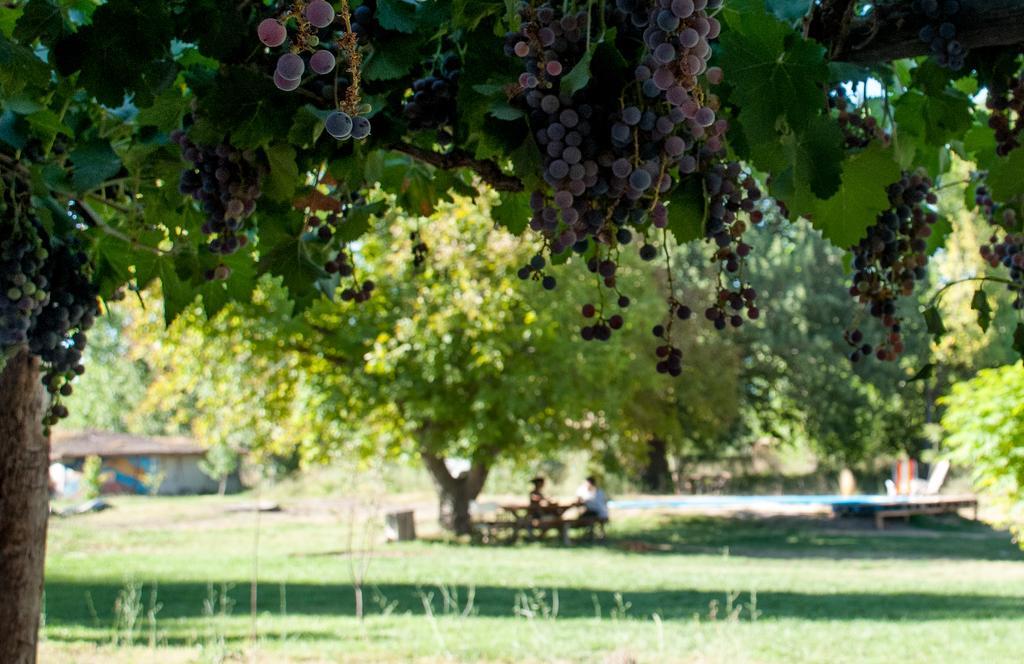Hosteria Rural Viejo Roble San Rafael  Kültér fotó